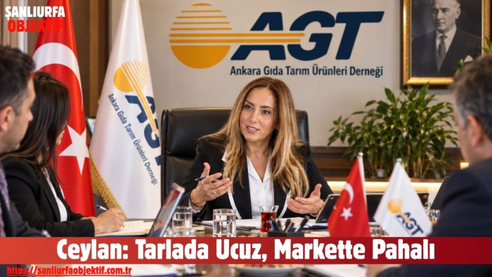 Ceylan: Tarlada Ucuz, Markette Pahalı