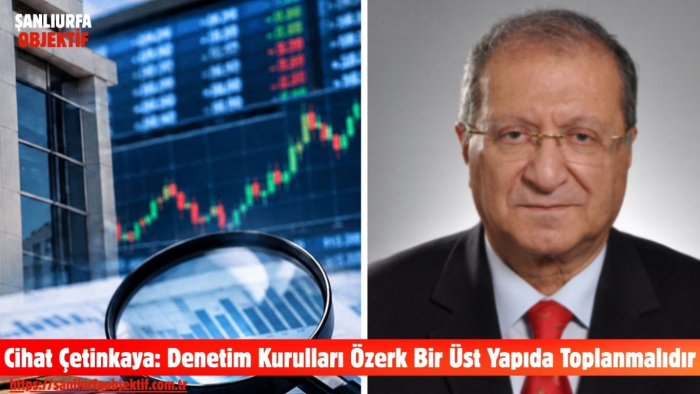 Cihat Çetinkaya: Denetim Kurulları Özerk Bir Üst Yapıda Toplanmalıdır