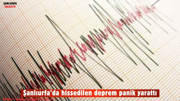 Şanlıurfa’da hissedilen deprem panik yarattı