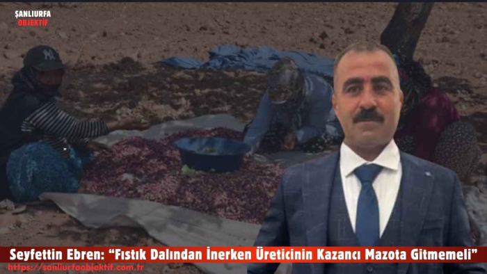 Seyfettin Ebren: “Fıstık Dalından İnerken Üreticinin Kazancı Mazota Gitmemeli”