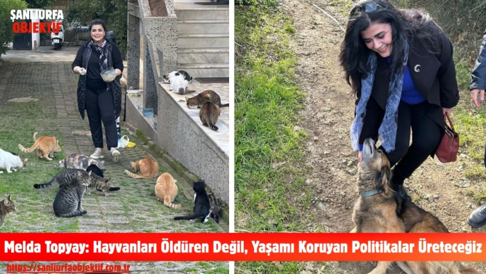 Melda Topyay: Hayvanları Öldüren Değil, Yaşamı Koruyan Politikalar Üreteceğiz