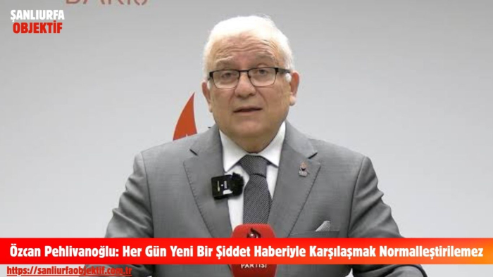 Özcan Pehlivanoğlu: Her Gün Yeni Bir Şiddet Haberiyle Karşılaşmak Normalleştirilemez