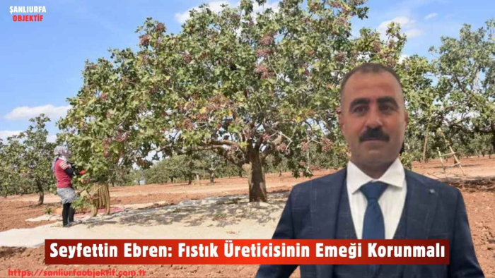 Seyfettin Ebren: Fıstık Üreticisinin Emeği Korunmalı