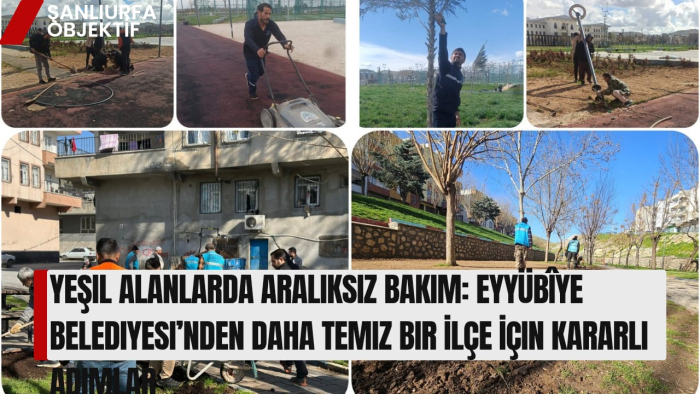 Yeşil Alanlarda Aralıksız Bakım: Eyyübîye Belediyesi’nden Daha Temiz Bir İlçe İçin Kararlı Adımlar
