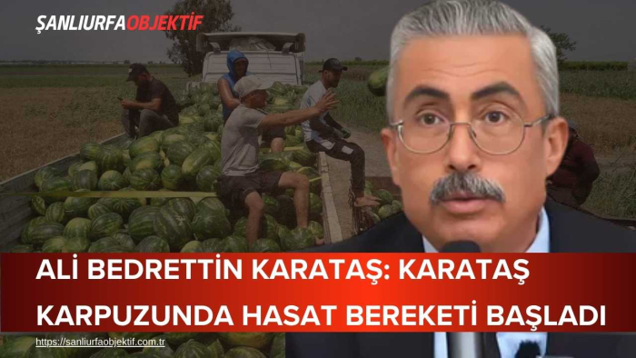 Ali Bedrettin Karataş: Karataş Karpuzunda Hasat Bereketi Başladı
