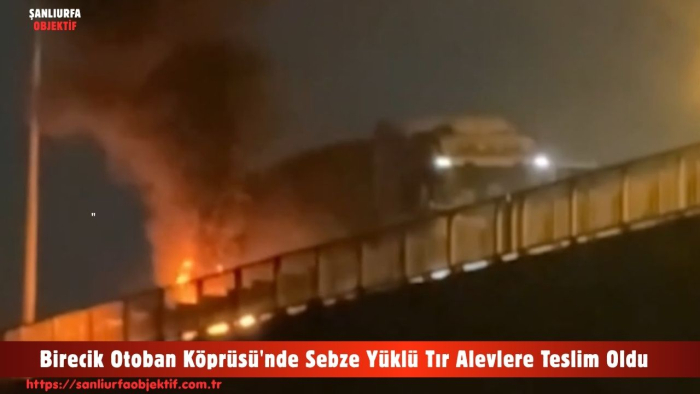 Birecik Otoban Köprüsü'nde Sebze Yüklü Tır Alevlere Teslim Oldu