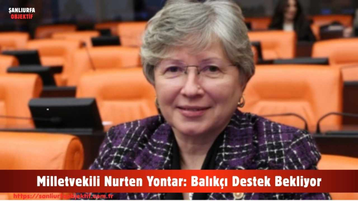 Milletvekili Nurten Yontar: Balıkçı Destek Bekliyor